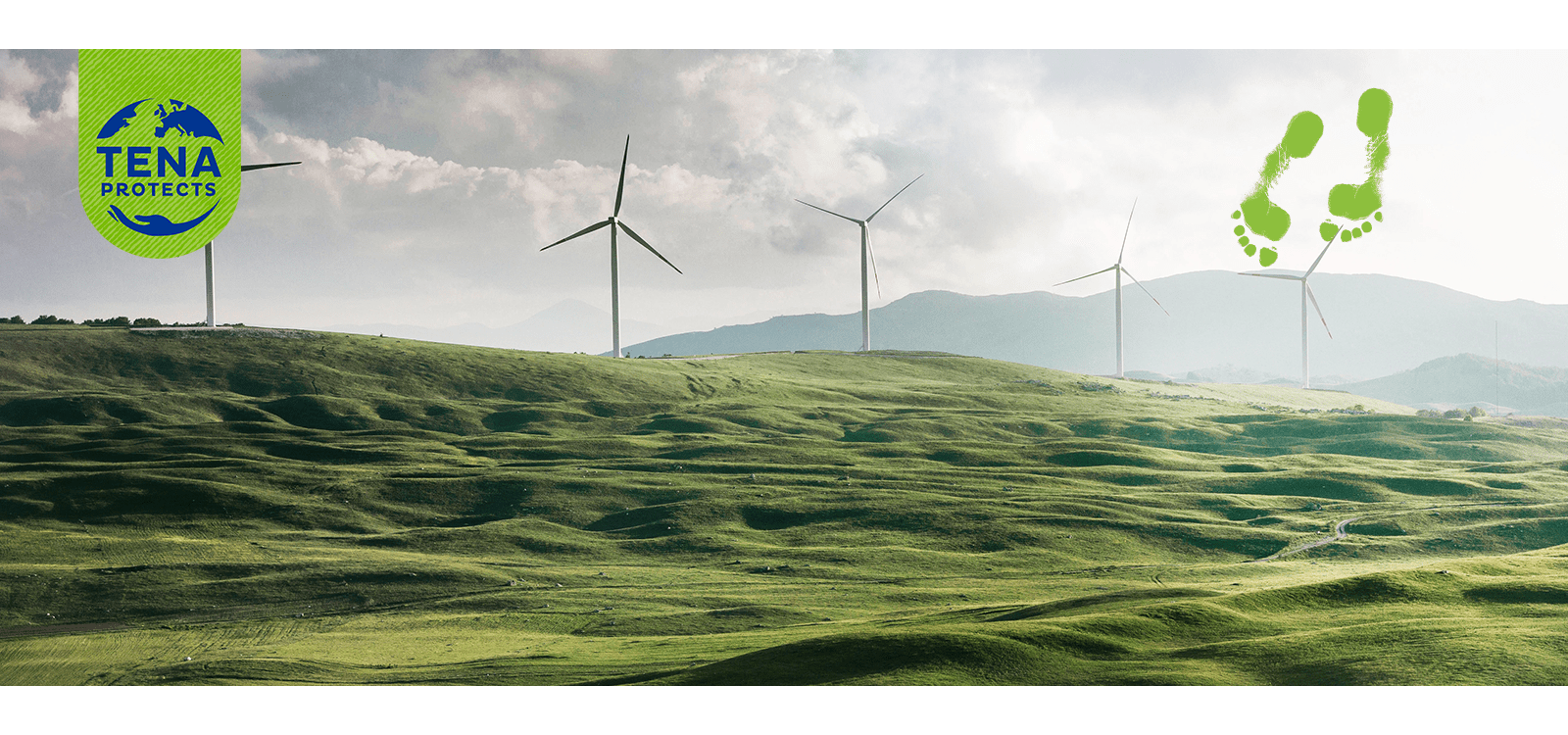 cosanum_tena-sustainability-windcraft-green-field.png (1.9 MB)